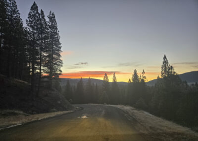 David Biblin, A Personal Blog about Appreciating Art, Nature, and Science with Young People