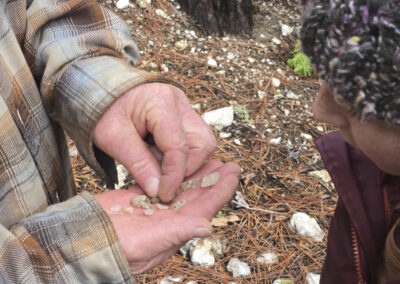 David Biblin, A Personal Blog about Appreciating Art, Nature, and Science with Young People