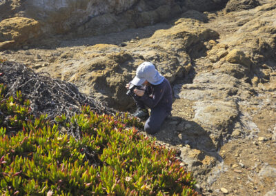 David Biblin, A Personal Blog about Appreciating Art, Nature, and Science with Young People