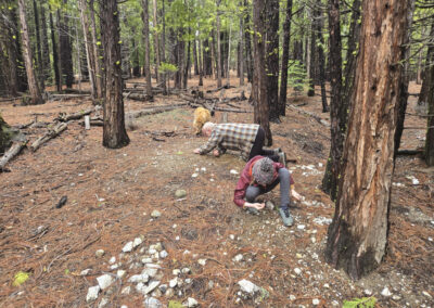 David Biblin, A Personal Blog about Appreciating Art, Nature, and Science with Young People