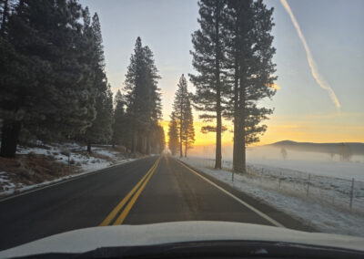 David Biblin, A Personal Blog about Appreciating Art, Nature, and Science with Young People